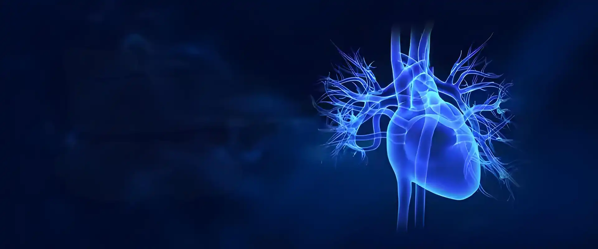Core highlights of medical endoscopes