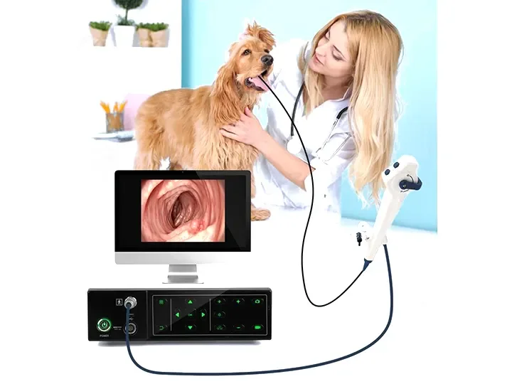 Pet ENT Endoscopy Solutions