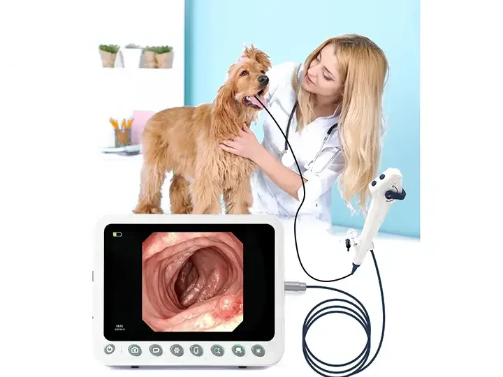 Pet colonoscopy solution
