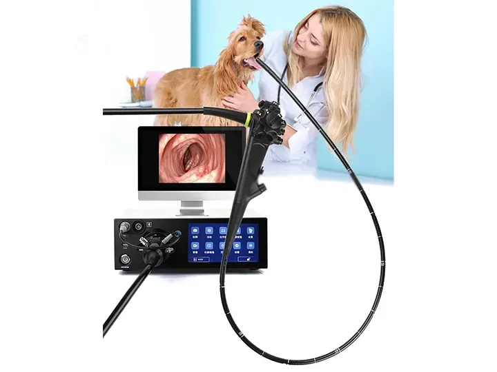 Pet uroscope solutions